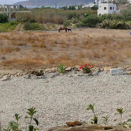 Scarpathia House * Katapola