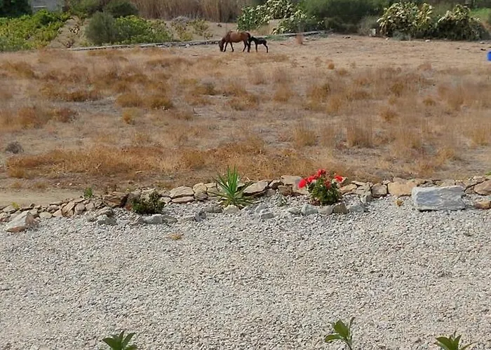 Scarpathia House * Katápola